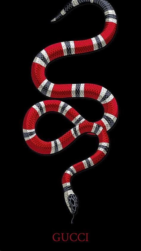 gucci snake download|More.